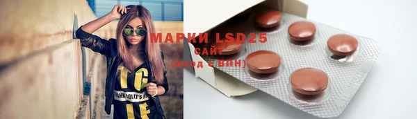 мяу мяу мука Вязьма