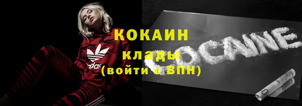 гашик Вязники