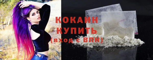 гашик Вязники